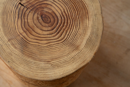 与謝野スギの丸太こども椅子